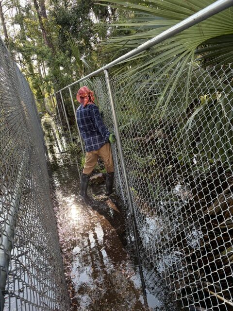 Commercial chain link fence installation in wet conditions in Davenport FL